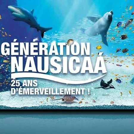 Appartamento Entre Terre Et Jeanne D Arc Between Land And Sea Wimille