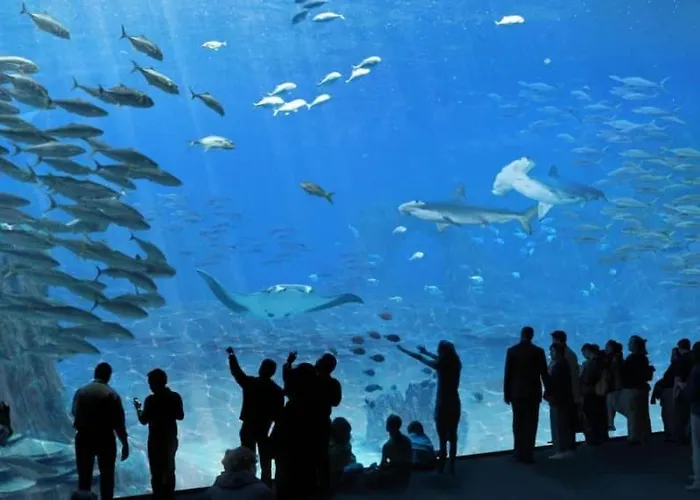 Entre Terre Et Jeanne D Arc Between Land And Sea *