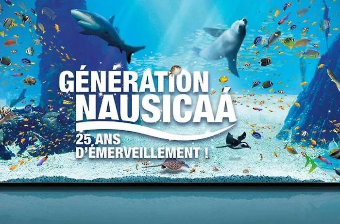 Appartamento Entre Terre Et Jeanne D Arc Between Land And Sea Wimille